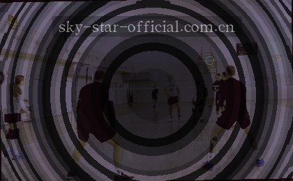 午后阳光透过树叶，手机屏幕上一只手滑动着地图。